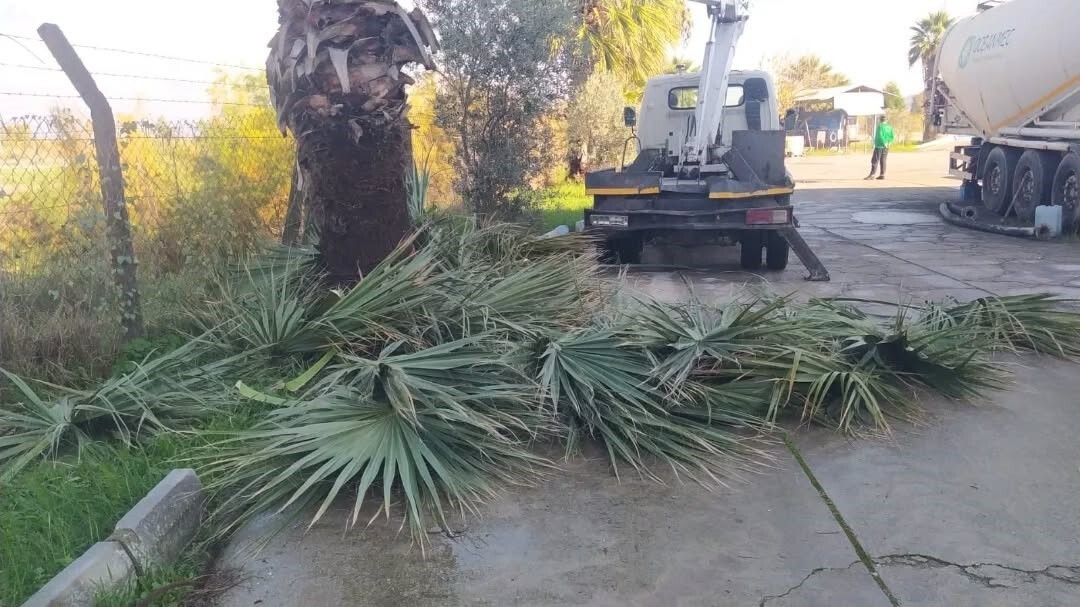 GERMENCİK BELEDİYE BAŞKANI BURAK ZENCİRCİ, İLÇENİN DÖRT BİR YANINDA SÜREN TEMİZLİK VE DÜZENLEME...