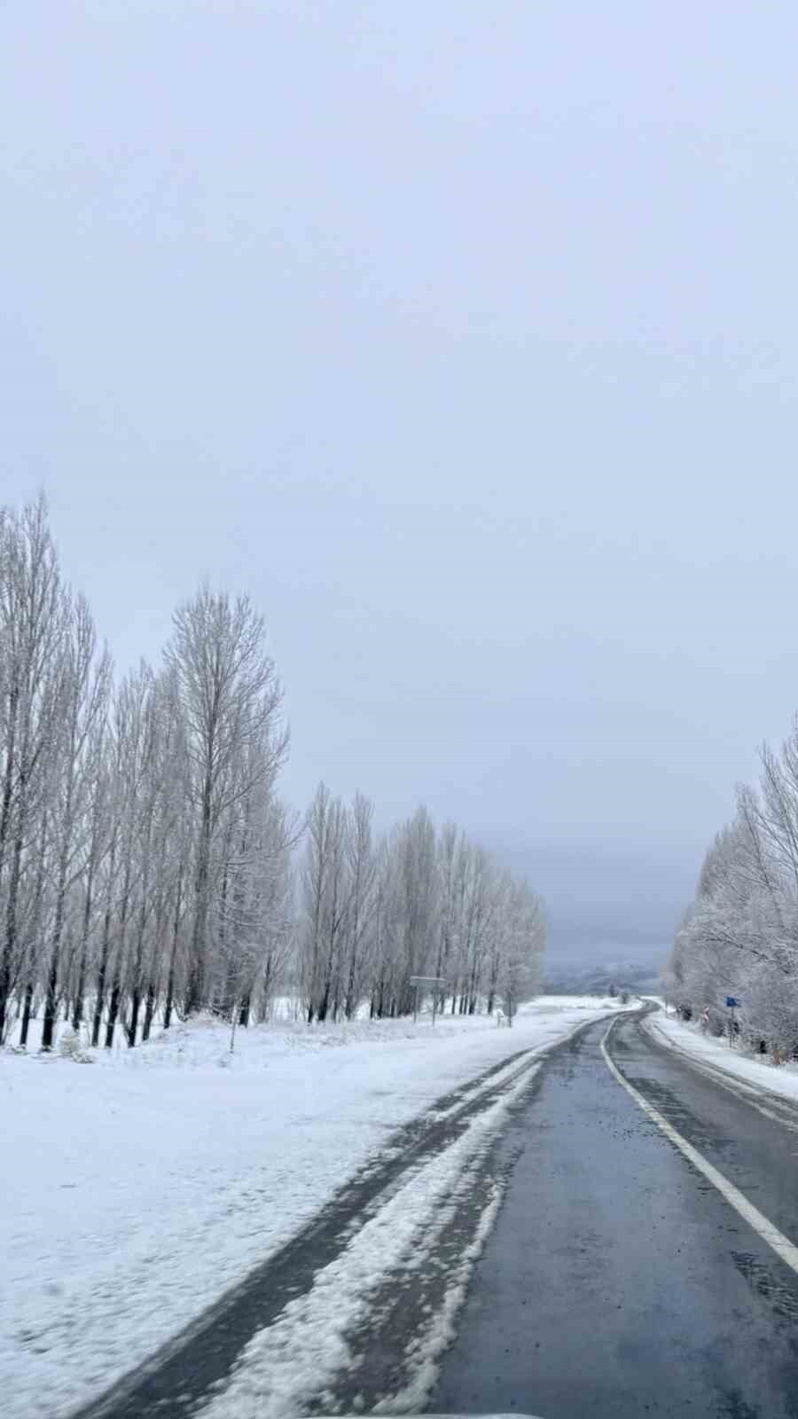 GÖKÇEDERE'DE KAR YAĞIŞI SONRASI AĞAÇLAR BEYAZ ÖRTÜYLE KAPLANDI