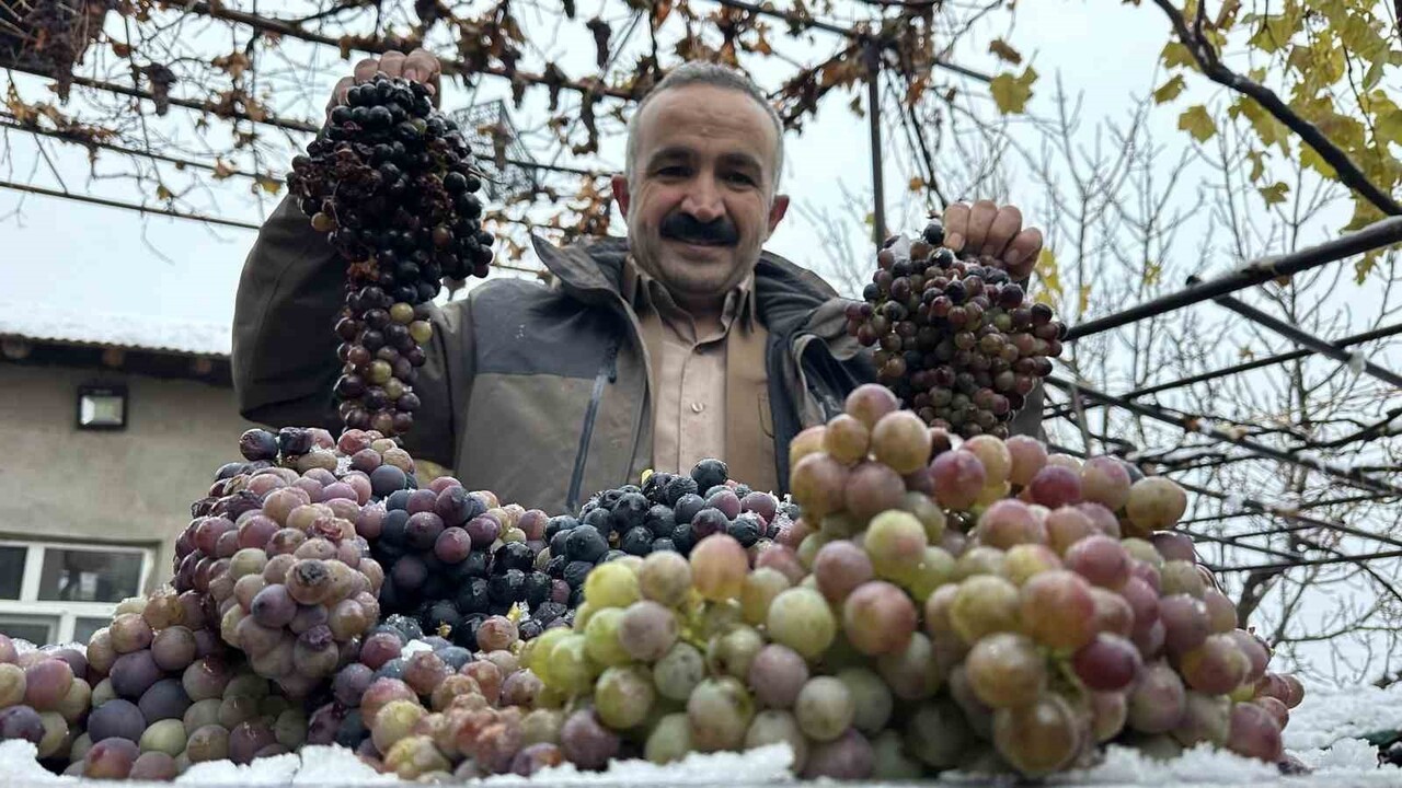 HAKKARİ'NİN ŞEMDİNLİ İLÇESİNE BAĞLI AKTÜTÜN BÖLGESİNDE YOĞUN KAR YAĞIŞININ ETKİLİ OLDUĞU...