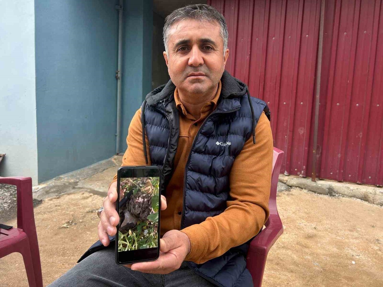 HATAY’DA 9 DÖNÜMLÜK ARAZİSİNDE 600 MANDALİNA FİDANI DİKEN VE YETİŞTİRMEK İÇİN EMEK VEREN ÇİFTÇİ...