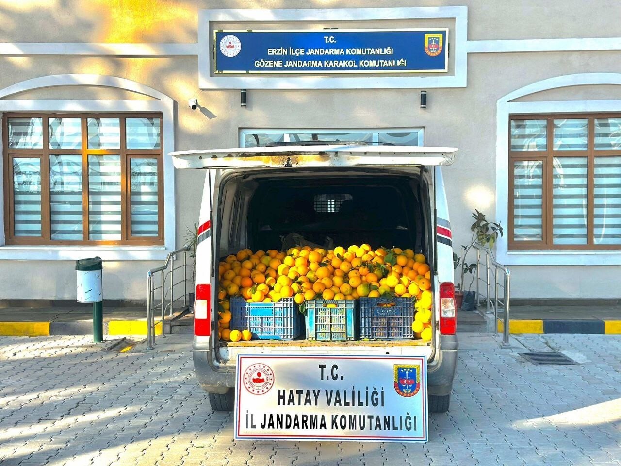 HATAY’DA BAHÇEDEN 2 TON PORTAKAL ÇALARKEN SUÇÜSTÜ YAKALANAN 5 ŞAHIS GÖZALTINA ALINDI.