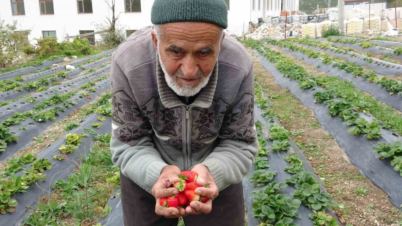 HAYIR BAHÇESİ İLE TANINAN İBRAHİM DEDE BAHÇESİNDE FENALAŞARAK HAYATINI KAYBETTİ