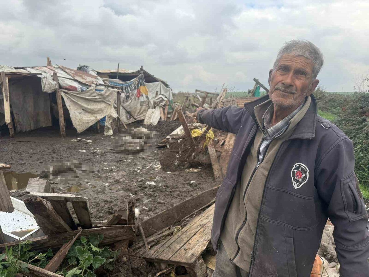 HAYVANLARI TELEF OLAN 82 YAŞINDAKİ MEHMET KAŞIKÇI