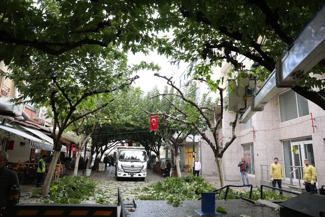 İNCİRLİOVA SEVGİ YOLU’NDAKİ AĞAÇLARA BAKIM