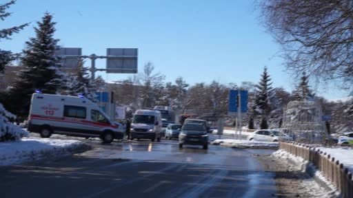 Işıklarda duramayan kamyon ağacı kökünden söktü