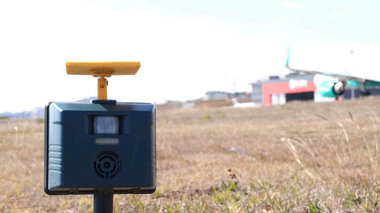 İSTANBUL SABİHA GÖKÇEN ULUSLARARASI HAVALİMANI'NDA UÇUŞ EMNİYETİNİ TEHDİT EDEN KUŞ VE DİĞER YABAN...