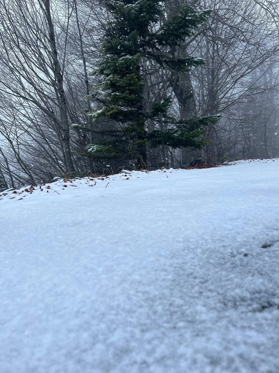 İSTANBUL’UN YANI BAŞINDAKİ ÖNEMLİ KIŞ TURİZM MERKEZLERİNDEN KARTEPE’DE KAR YAĞIŞI ETKİSİNİ...