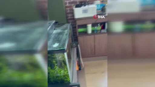 Japonya’da merkez üssü Aomori eyaletinin doğu kıyısı açıkları olan 6.7 büyüklüğünde deprem meydana...