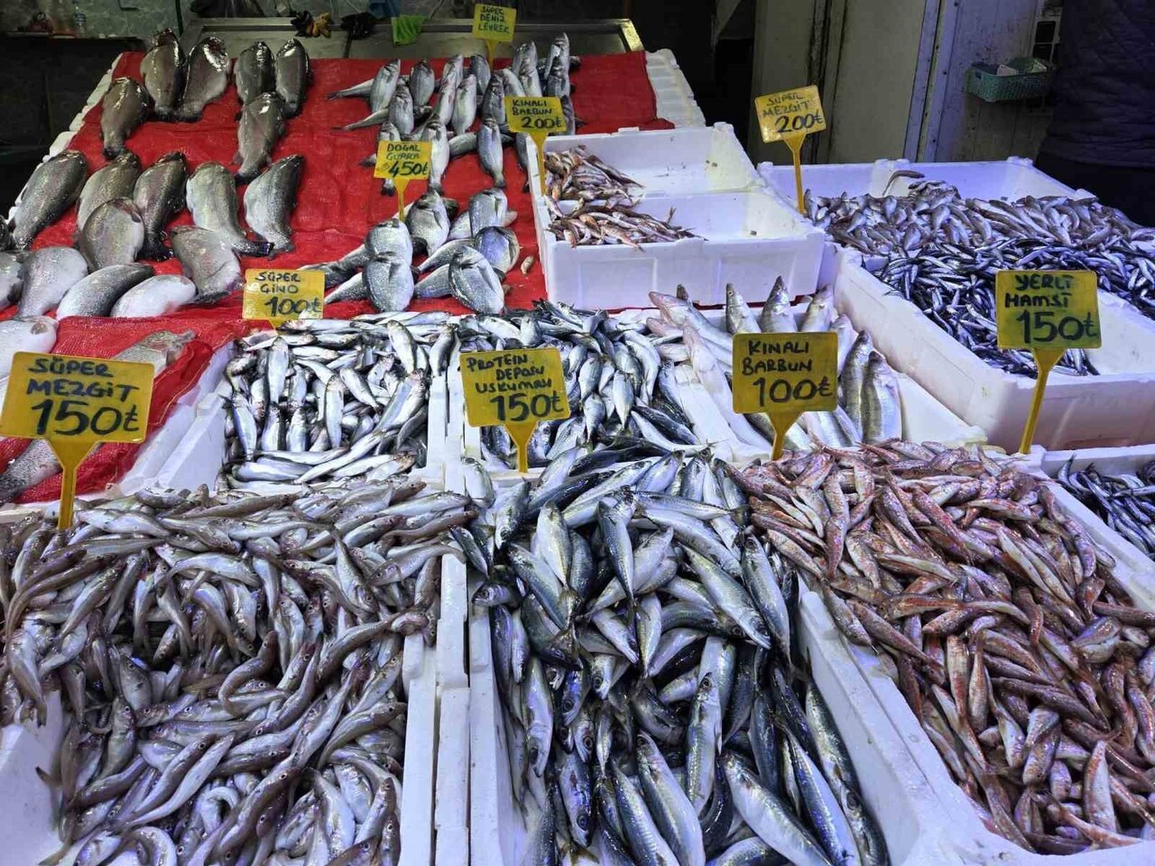 KARADENİZ’İN İNCİSİ HAMSİ, BU AV SEZONUNDA HEM BALIKÇILARIN HEM DE VATANDAŞLARIN YÜZÜNÜ GÜLDÜRMEYE...