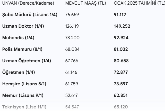 Kasım Enflasyonu Açıklandı: Memur ve Emekli Maaşlarında Ocak 2025 İçin İlk Zam Oranları Netleşti