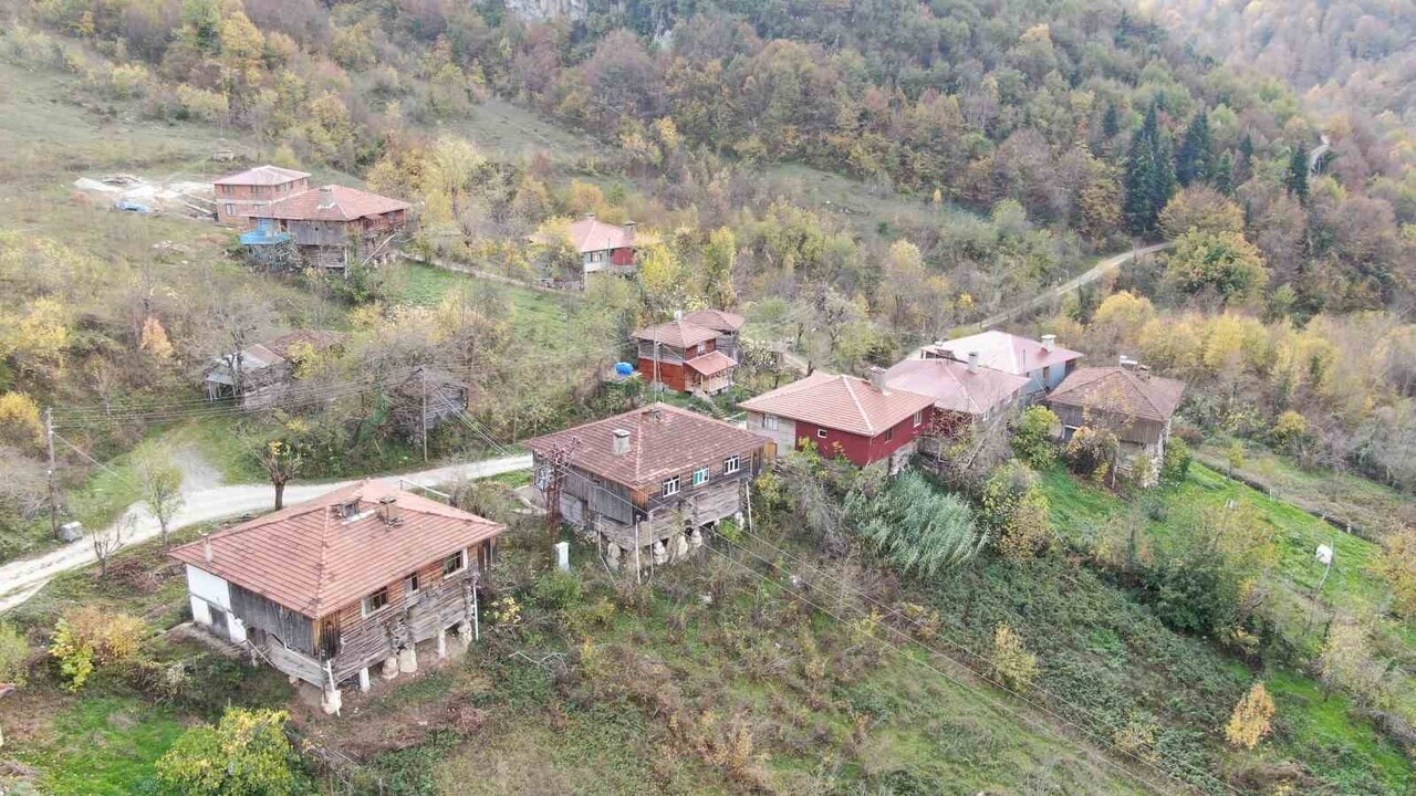 KASTAMONU’NUN CİDE İLÇESİNDE BULUNAN VE TAMAMEN BÖLGEDEKİ SARI ÇAM AĞAÇLARINDAN AYNI MİMARİ İLE...