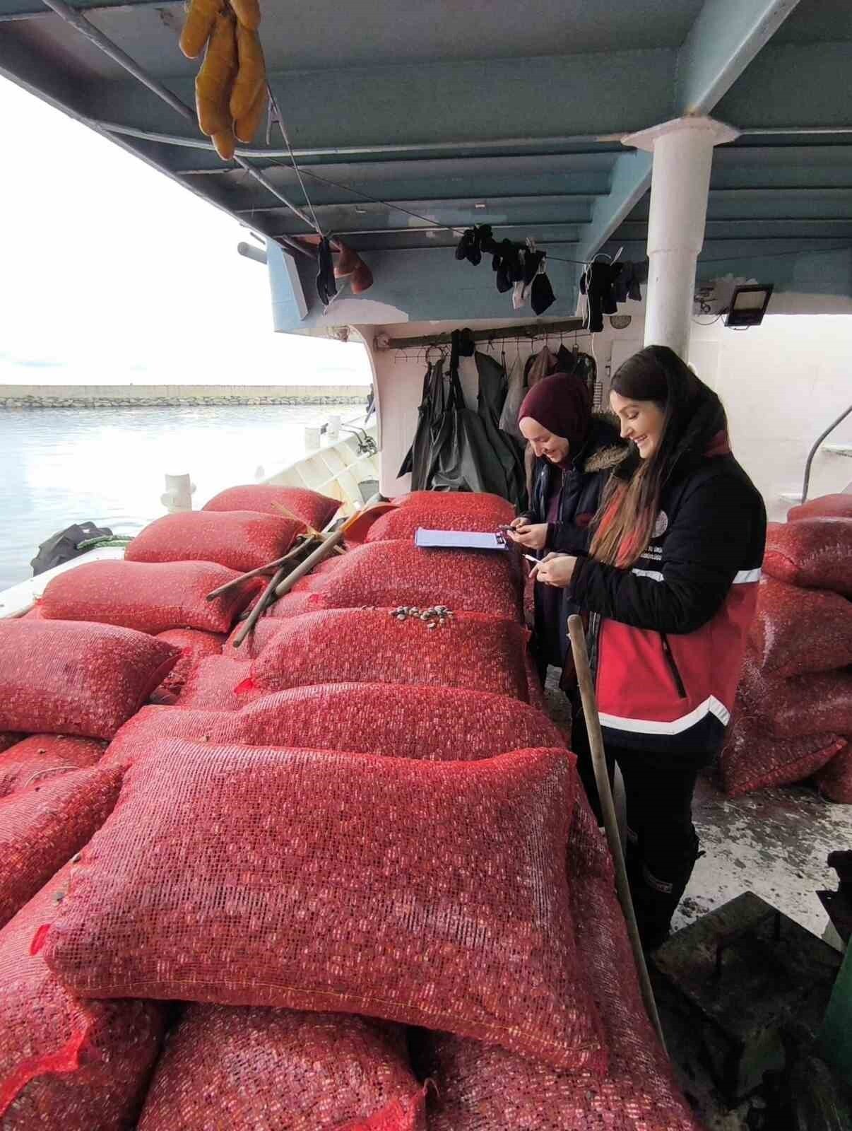 KASTAMONU’NUN İNEBOLU İLÇESİNDEKİ EVRENYE BALIKÇI BARINAĞI’NDA BEYAZ KUM MİDYESİ AVCILIĞI, BOY VE...