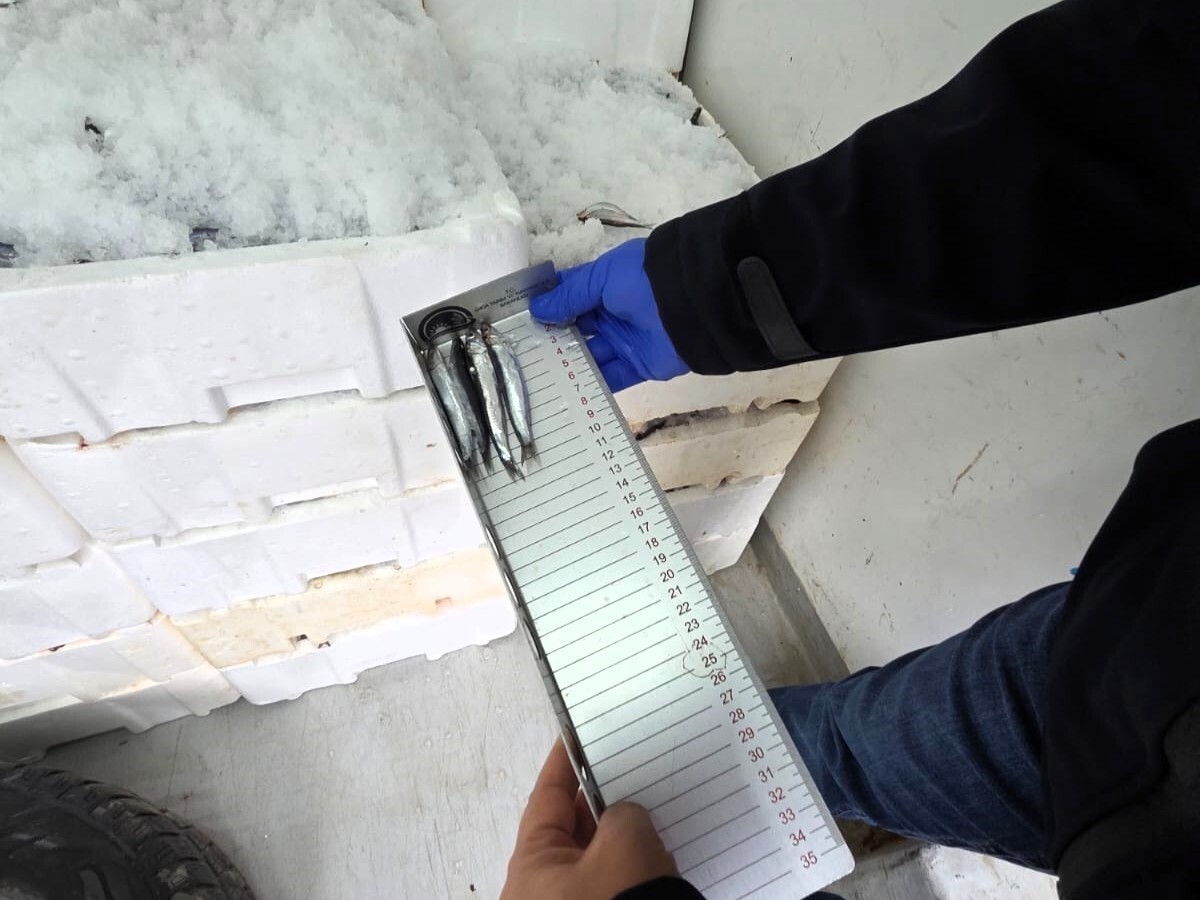 KIRKLARELİ TARIM VE ORMAN MÜDÜRLÜĞÜ GIDA KONTROL EKİPLERİ, DEMİRKÖY İLÇESİNE BAĞLI İĞNEADA BELDESİ...