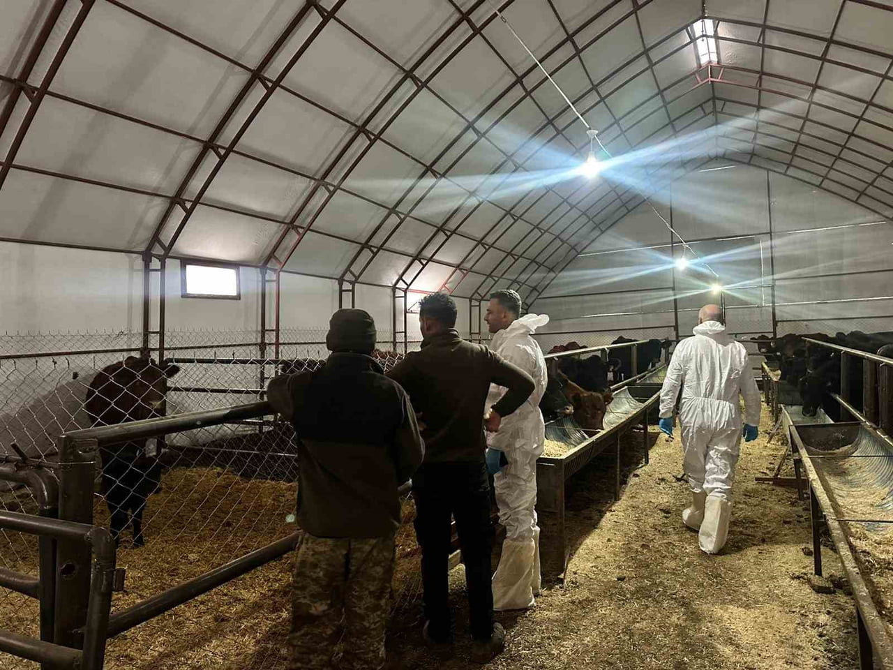 KIRSALDA BEREKET HAYVANCILIĞA DESTEK PROJESİ KAPSAMINDA PERTEK’İN PINARLAR KÖYÜ’NDE VETERİNER...