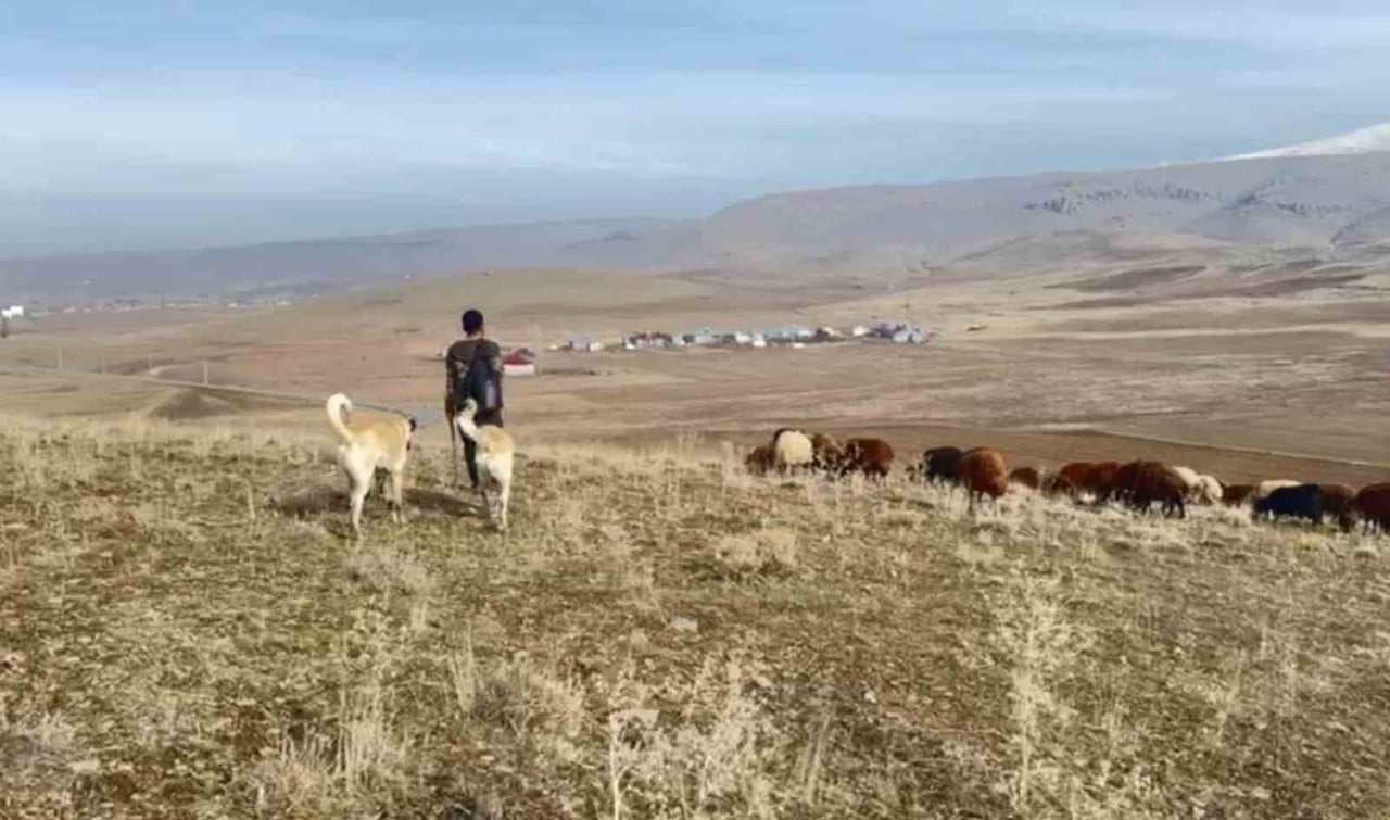 KIŞ MEVSİMİNE GİRİLMESİNE RAĞMEN KARIN HENÜZ YAĞMADIĞI AĞRI'NIN PATNOS İLÇESİNDE HAVALARIN MEVSİM...