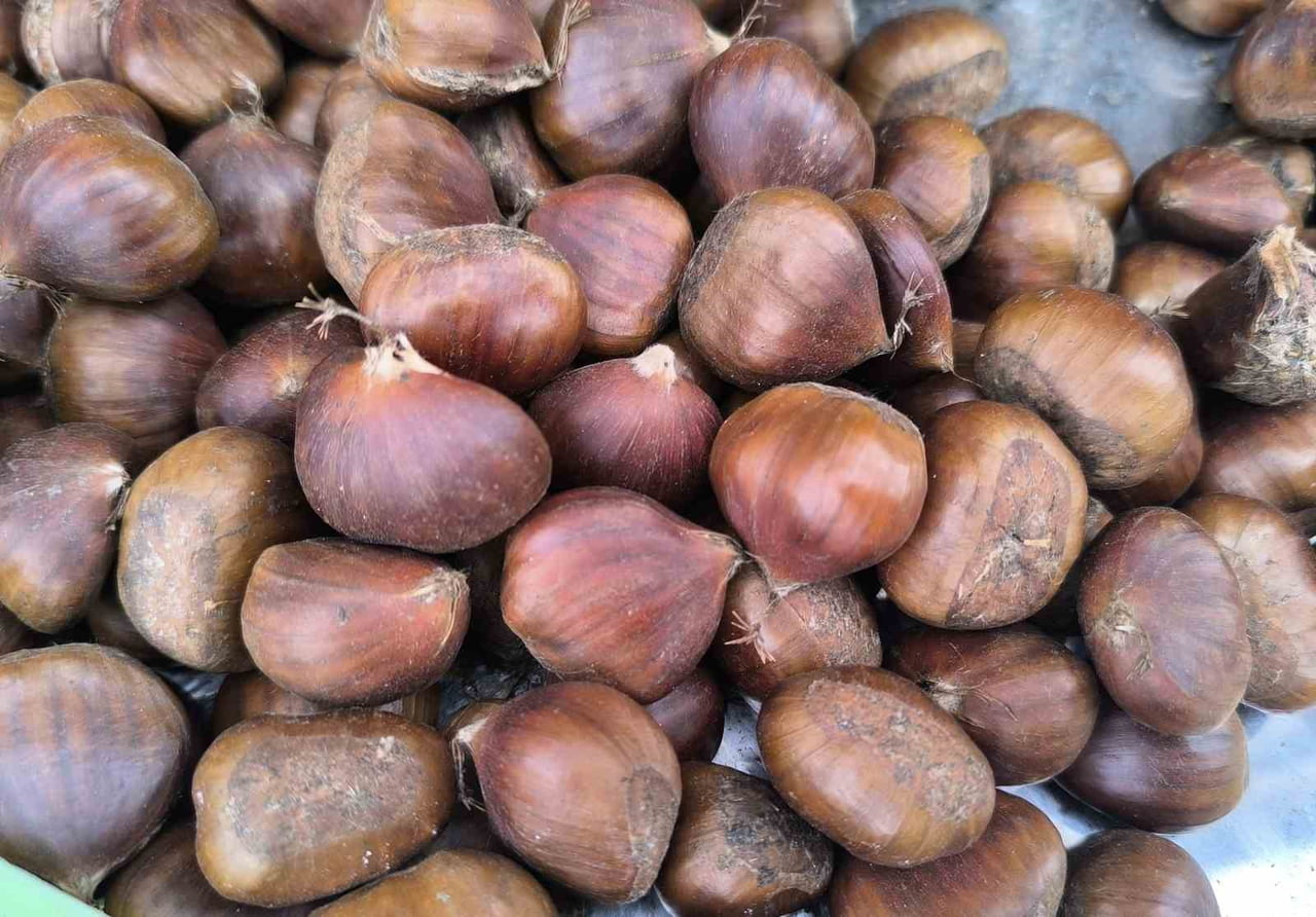 KIŞ SOFRALARININ VAZGEÇİLMEZİ KESTANE AFYONKARAHİSAR'DA BU YIL SATIŞ FİYATI İLE YÜZLERİ...