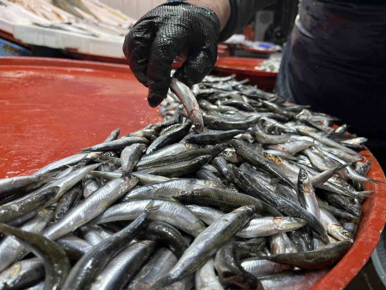 KONYA'DA BALIKÇILAR, HAMSİ MEVSİMİNDE SIKINTIYLA KARŞI KARŞIYA KALDIKLARINI SÖYLERKEN...
