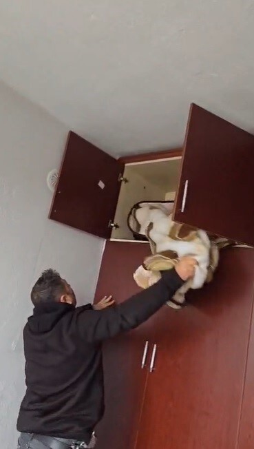 KONYA’DA 42 FARKLI SUÇTAN ARANAN ŞAHIS POLİS EKİPLERİNCE SAKLANDIĞI ADRESTE BULUNAN GARDIROP...