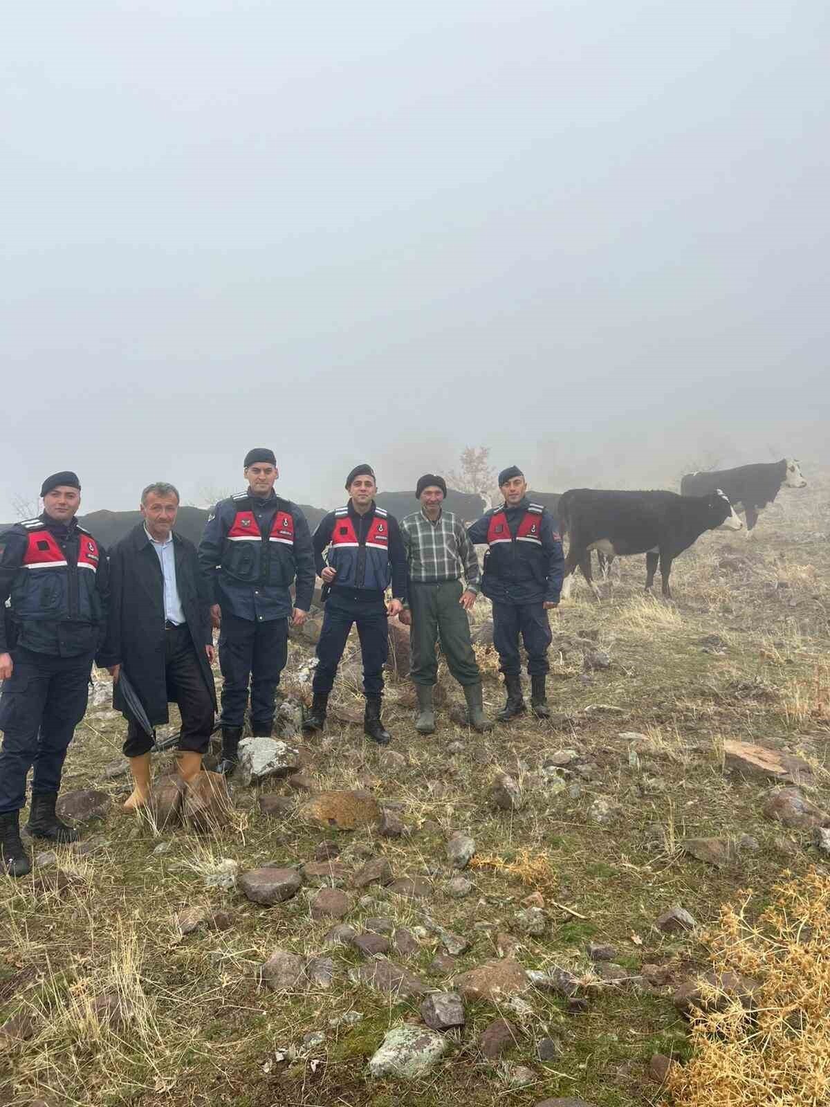 KONYA’NIN SEYDİŞEHİR İLÇESİNDE KAYBOLAN 11 BÜYÜKBAŞ HAYVAN, JANDARMA EKİPLERİNİN YAPTIĞI ÇALIŞMA...