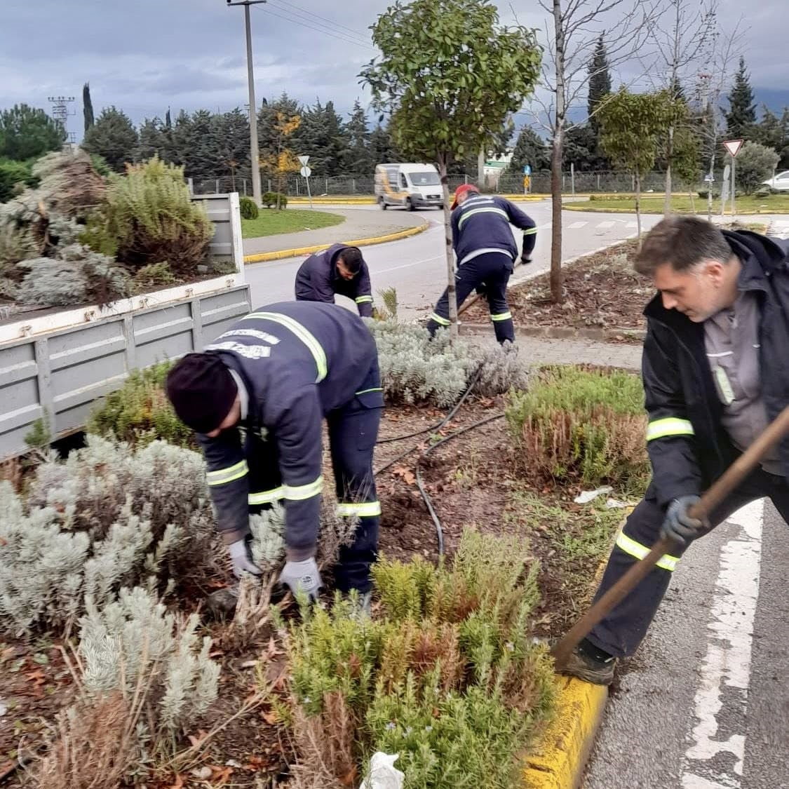 KÖRFEZ'DE KENTİN ESTETİK GÖRÜNÜMÜNÜ KORUMAK VE YEŞİL ALANLARI DAHA CANLI HALE GETİRMEK AMACIYLA...