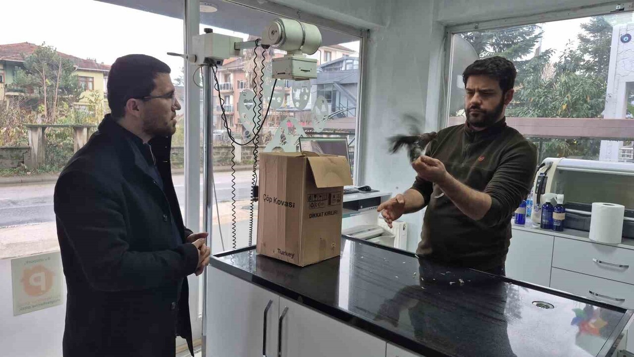 KÖYÜNE GİDEN VATANDAŞ YOLDA BULDUĞU UÇAMAYAN KUŞA KAYITSIZ KALAMADI. ORMAN GÜVERCİNİ OLARAK TA...