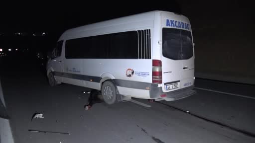 Malatya'da feci olay: Milyonluk taylar karayolunda telef oldu