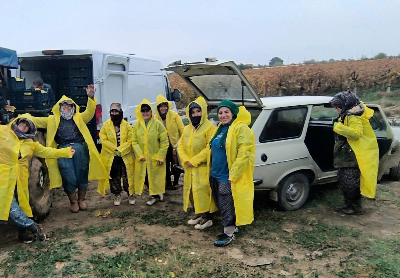 MANİSA'NIN SARIGÖL İLÇESİNDE ÜRETİCİLER VE TARIM İŞÇİLERİ, YAĞMURUN OLUŞTURDUĞU ÇAMURA RAĞMEN ÜZÜM...