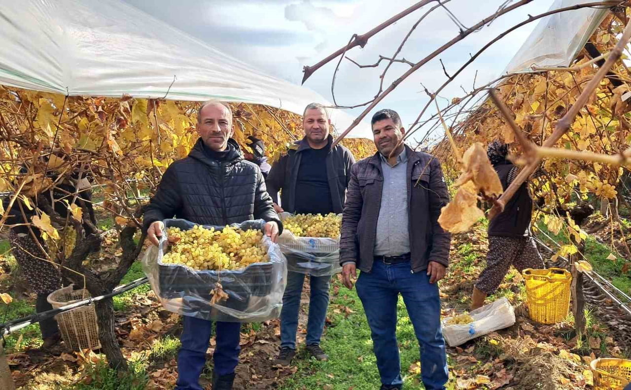 MANİSA'NIN SARIGÖL İLÇESİNE BAĞLI AŞAĞIKOÇAKLAR MAHALLESİ'NDE YENİ YIL SOFRALARININ VAZGEÇİLMEZİ...