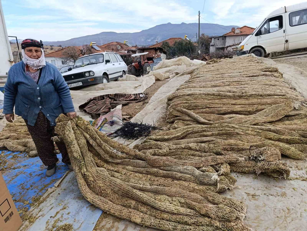 MANİSA’NIN SELENDİ İLÇESİNDE TÜTÜN HASADINI TAMAMLAYAN ÜRETİCİLER, ÜRÜNLERİNİ SATIŞA HAZIR HALE...