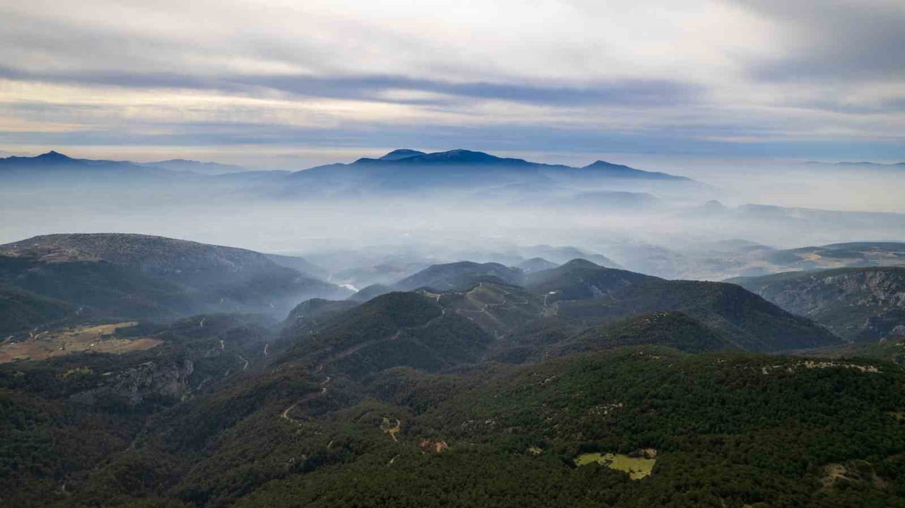 MANİSA VE İZMİR ARASINDA YER ALAN 1517 METRE RAKIMLI SPİL DAĞI MİLLİ PARKI’NDA ARALIK AYININ...