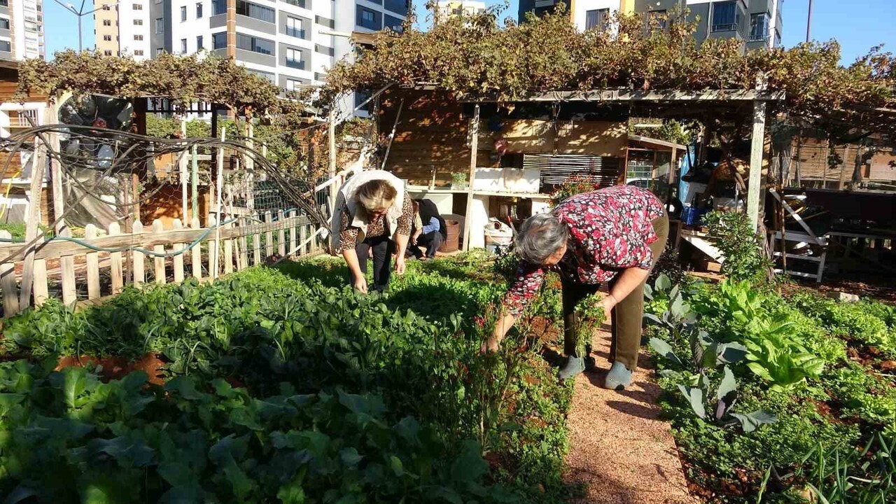 MERSİN’DE KRONİK RAHATSIZLIĞI BULUNAN VATANDAŞLAR VE KORUYUCU AİLELERİN REHABİLİTASYON AMAÇLI...