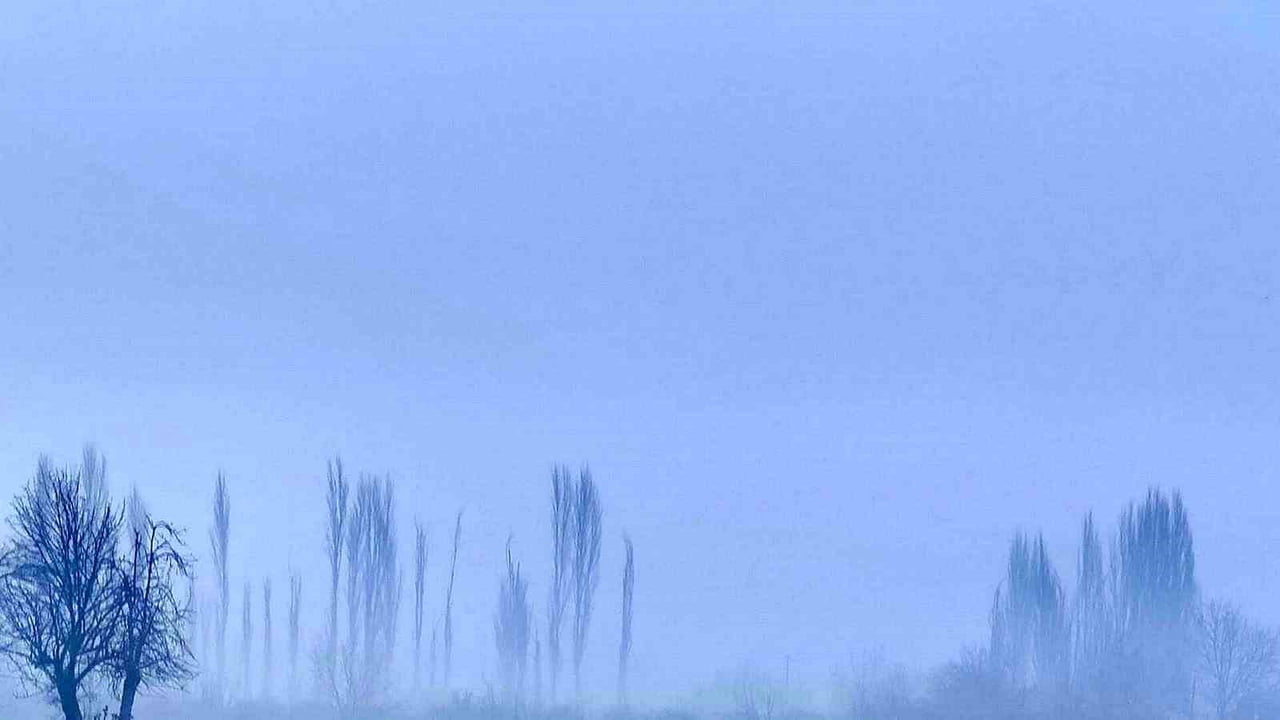 MUĞLA'NIN MENTEŞE İLÇESİNDE ETKİLİ OLAN YOĞUN SİS, KARABAĞLAR YAYLASI'NDA MASAL DİYARINI ANDIRAN...