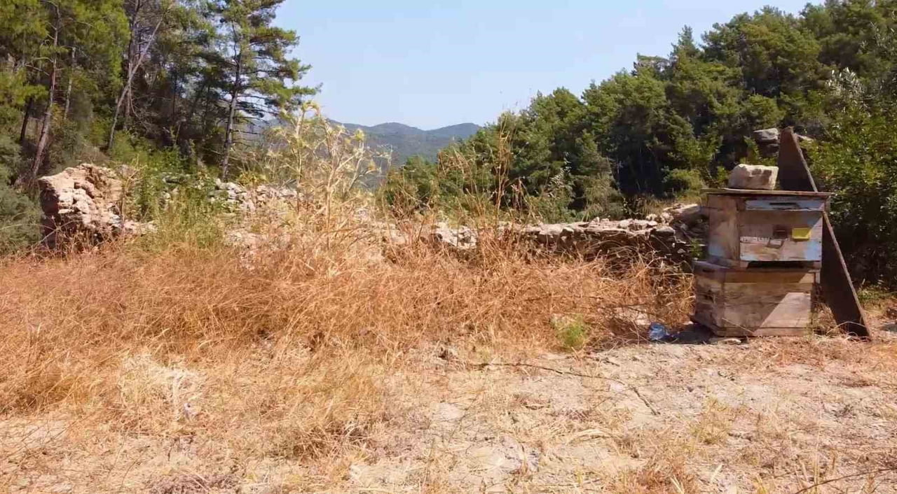 MUĞLA’DA KOVAN BARINAKLARI TEKRAR AYAĞA KALDIRILIYOR