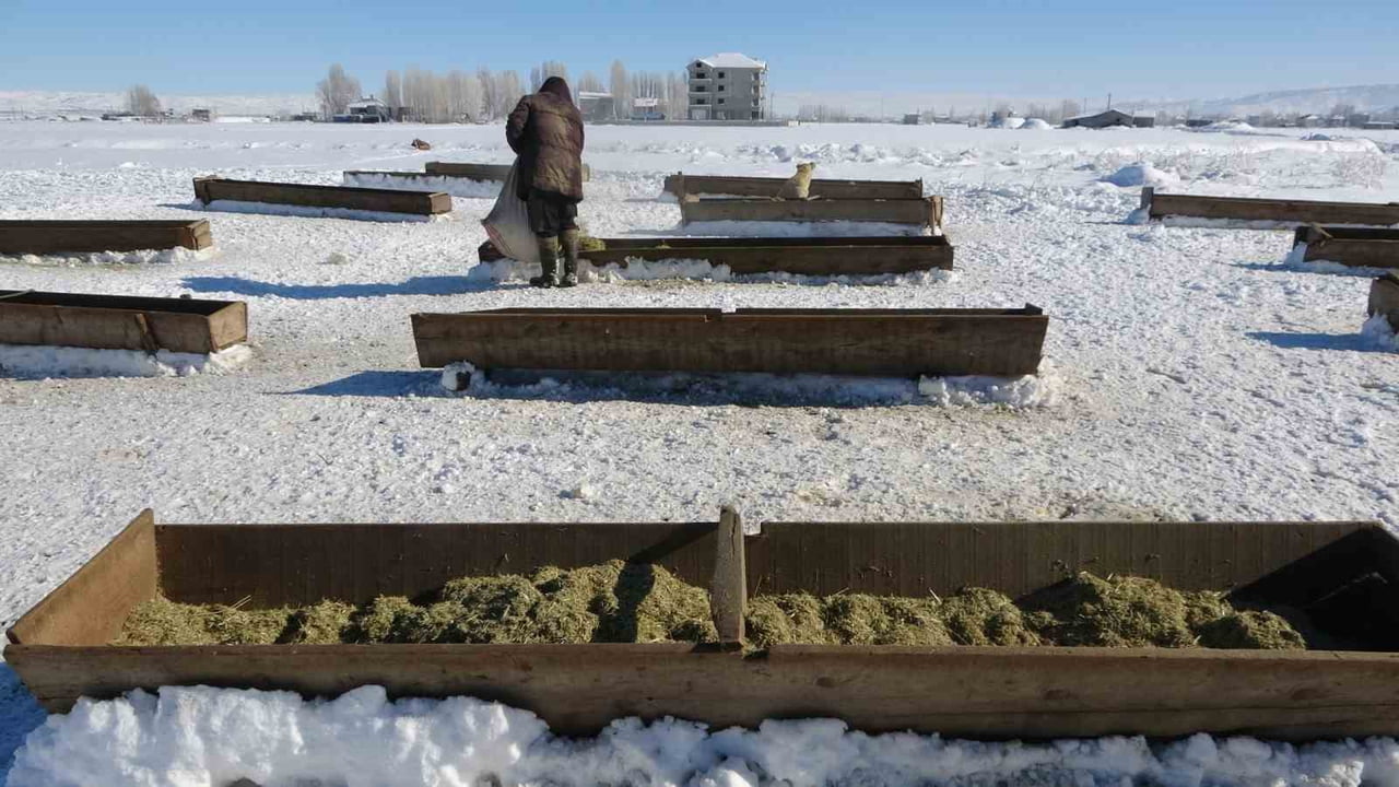 MUŞ’UN HASKÖY İLÇESİNDE GECE SAATLERİNDE ETKİLİ OLAN KAR YAĞIŞIYLA BİRLİKTE BİRÇOK KÖY YOLU...