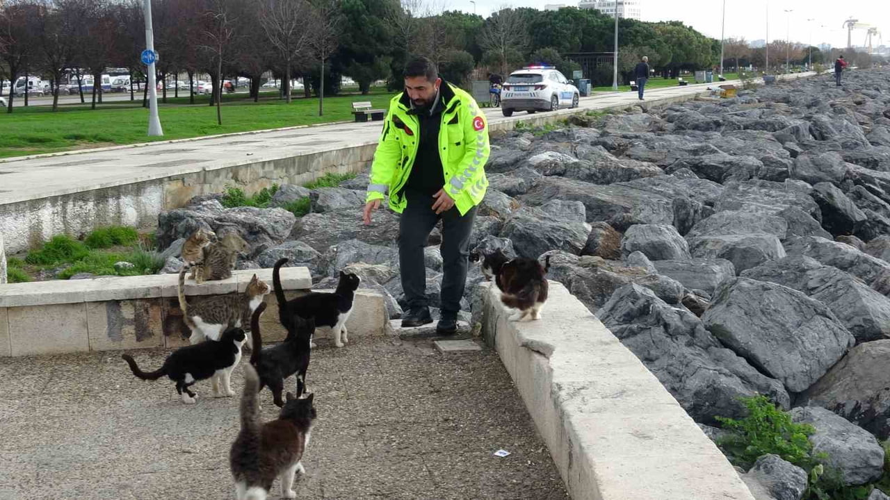 PENDİK'TE BALIK TUTAN BİR VATANDAŞ OLTADAN ÇEKTİĞİ BALIĞA YAKLAŞAN KEDİYİ TEKME ATARAK DENİZE...