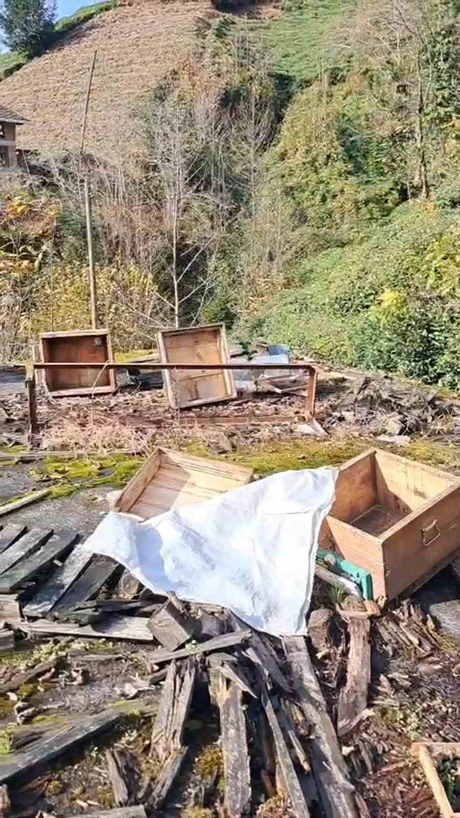 RİZE’DE AYILARIN SALDIRISI SONUCU KOVANLARINI DAĞITTIĞI ARICI OLAYA ‘BEN ŞİMDİ NE EDEYİM’ DİYEREK...