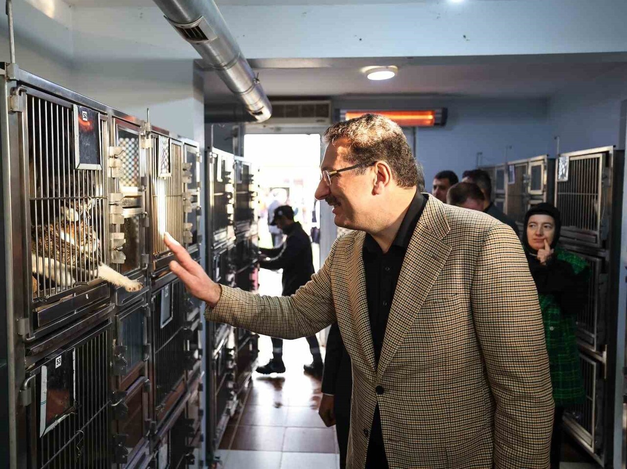 SAKARYA BÜYÜKŞEHİR BELEDİYESİ’NİN SOKAK HAYVANLARIYLA İLGİLİ TÜRKİYE'YE ÖRNEK OLAN 10 BİN HAYVAN...