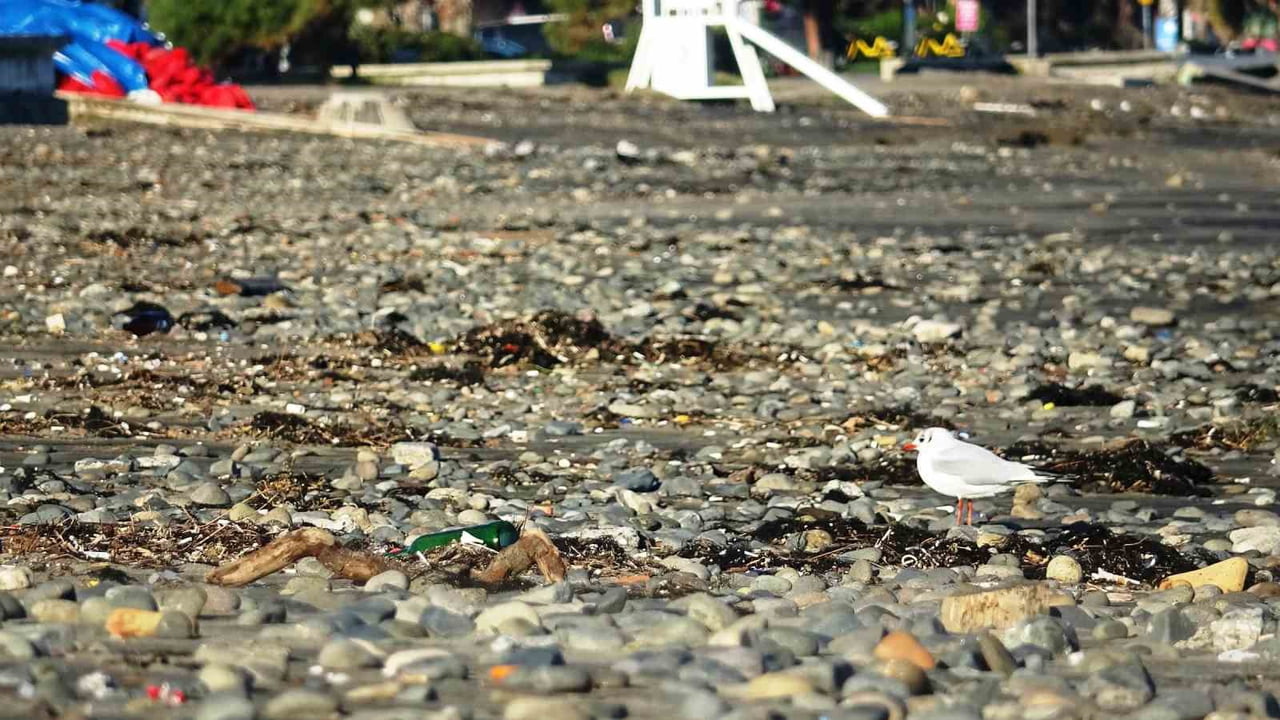 SAMSUN'DA SAHİLİ DÖVEN DALGALARIN ARDINDAN DENİZDEN FIRLAYAN TAŞLAR SAHİLE BİRİKTİ. VATANDAŞLAR...