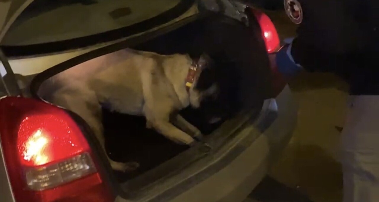 SAMSUN’DA SON BİR HAFTA İÇİNDE NARKOTİK EKİPLERİNCE GERÇEKLEŞTİRİLEN ARDI ARDINA OPERASYONLARDA 15...