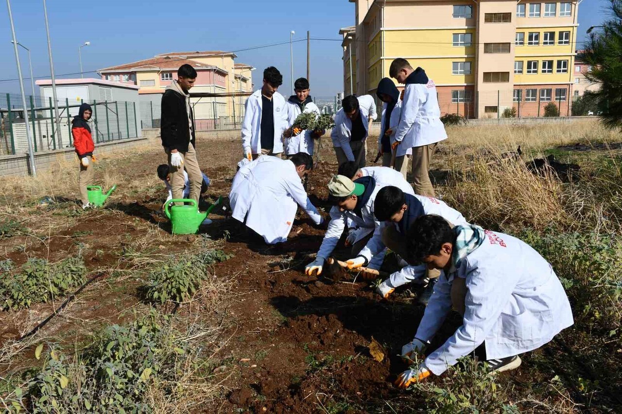 ŞANLIURFA'NIN SİVEREK İLÇESİNDEKİ LİSE ÖĞRENCİLERİ, OKUL BAHÇESİNDE KURULAN ÖZEL UYGULAMA ALANINDA...
