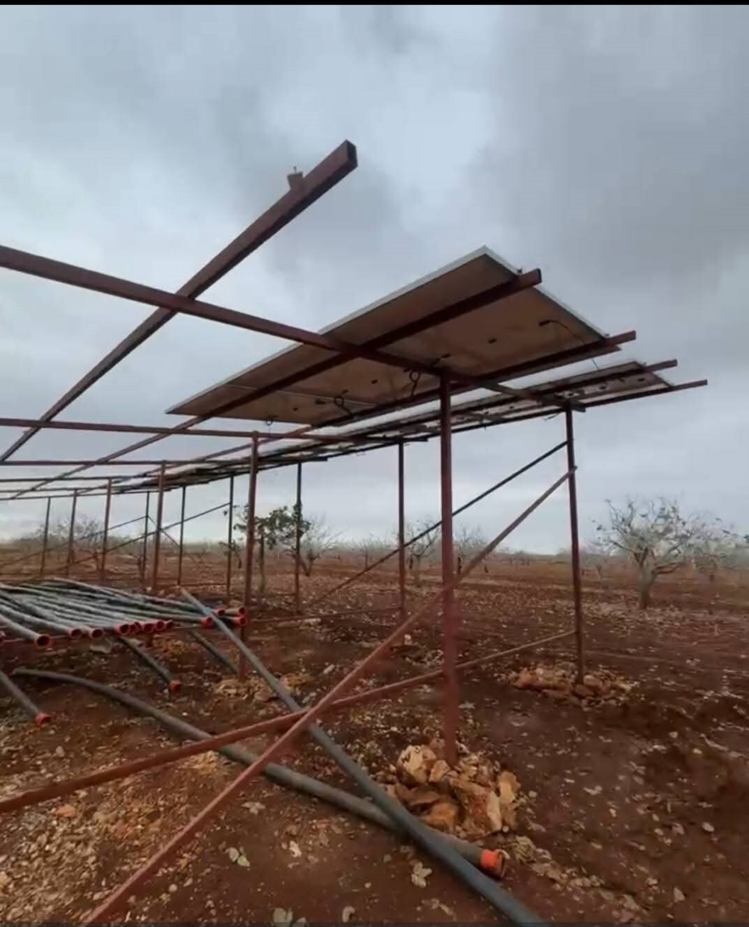 ŞANLIURFA’DA HIRSIZLAR SİSLİ HAVADA GÜNEŞ ENERJİSİ PANELLERİNE DADANDI