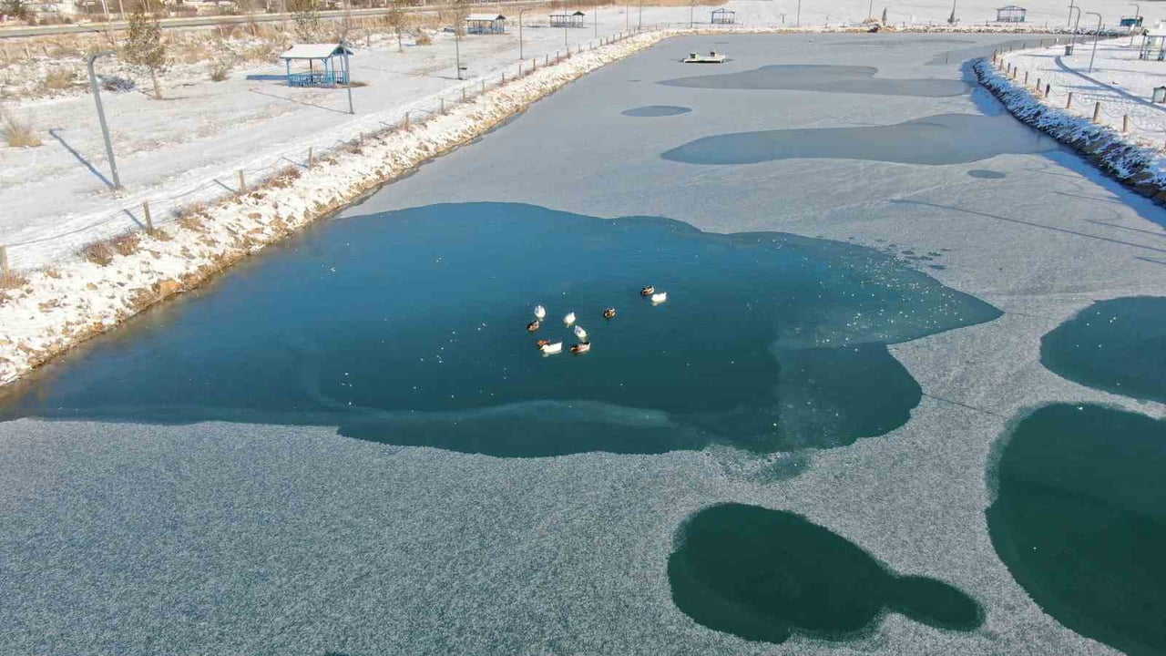 SİBİRYA SOĞUKLARININ ETKİLİ OLDUĞU SİVAS’TA ÜNİVERSİTE İÇERİSİNDE BULUNAN YAPAY GÖLET BUZ...