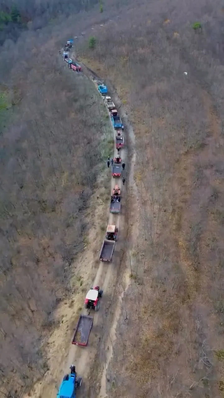 SİNOP'UN BOYABAT İLÇESİNDE KIŞ HAZIRLIKLARI KAPSAMINDA, ORMAN İŞLETME MÜDÜRLÜĞÜ TARAFINDAN...