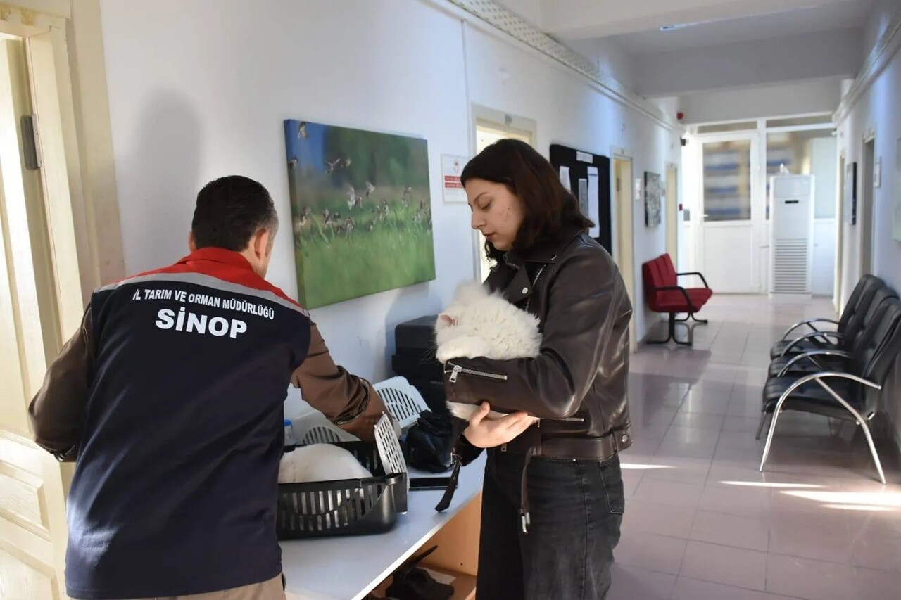 SİNOP’TA HAYVAN HAREKETLERİNİN TAKİBİ VE BULAŞICI HASTALIKLARIN KONTROLÜNÜN DAHA ETKİN SAĞLANMASI...