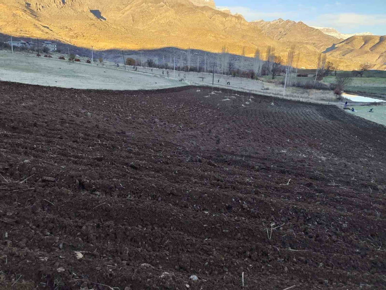 ŞIRNAK’TA KIŞ AYLARINDA ÇİFTÇİLER TARLALARINA KAR YAĞMADAN ARPA EKİYOR. YÜZLERCE TARLAYA BAHAR...