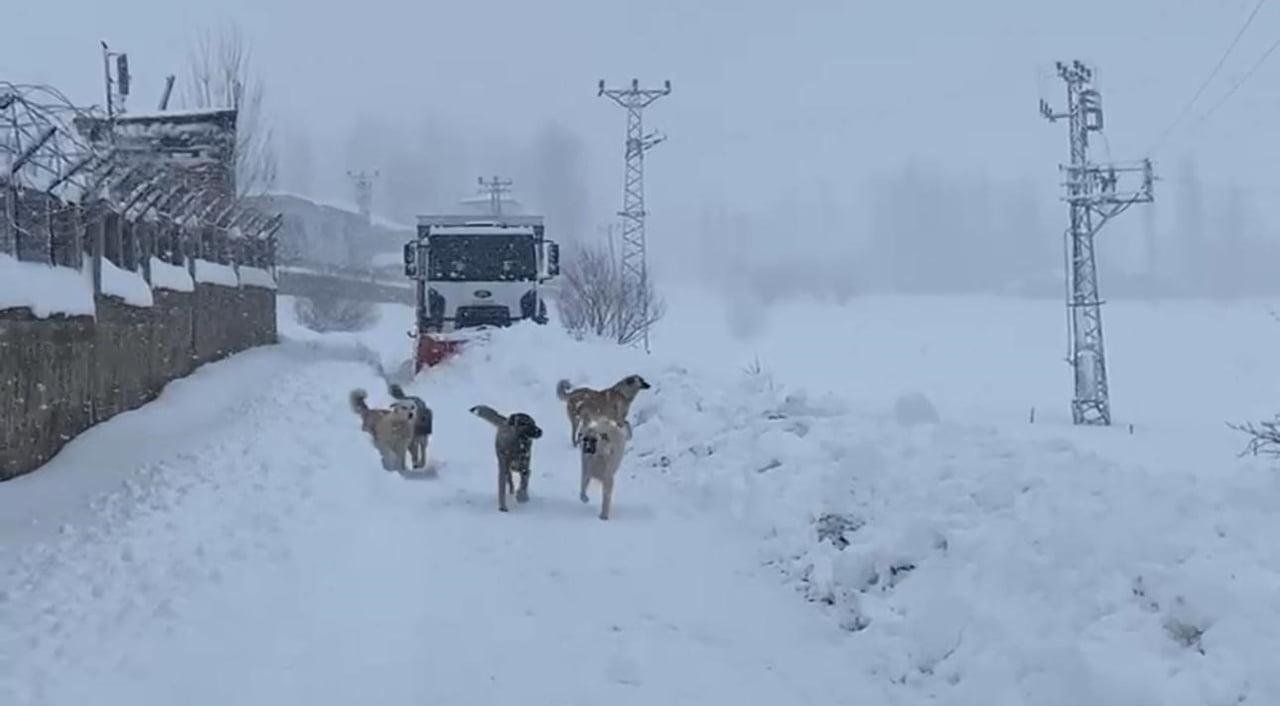 ŞIRNAK’TA KIŞ ETKİSİNİ SÜRDÜRÜYOR. KAPANAN KÖY YOLLARI DOZERLERLE AÇILIYOR. EKİPLERİN KARLA...