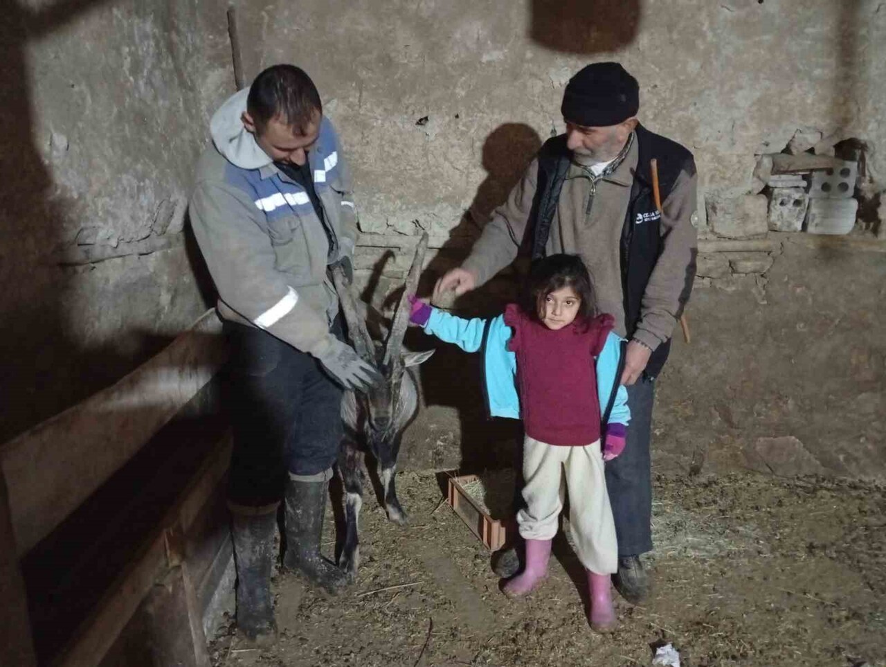 SİVAS’IN GÜRÜN İLÇESİNDE YAYLADA KOYUN OTLATAN MÜCAHİT DİKENOVA, YARALI HALDE BULDUĞU DAĞ KEÇİSİNİ...