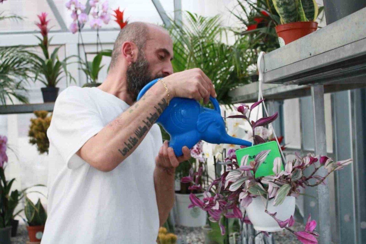 SOSYAL MEDYADA ‘ÇİÇEK DOKTORU’ OLARAK BİLİNEN ÜMİT ERSAN, "İNSANLAR BİTİKLERİYLE İLGİLİ YAŞAMIŞ...