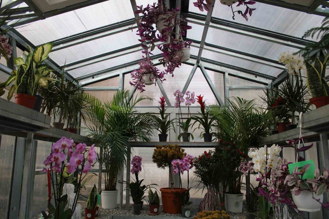 SOSYAL MEDYADA ‘ÇİÇEK DOKTORU’ OLARAK BİLİNEN ÜMİT ERSAN, "İNSANLAR BİTİKLERİYLE İLGİLİ YAŞAMIŞ...