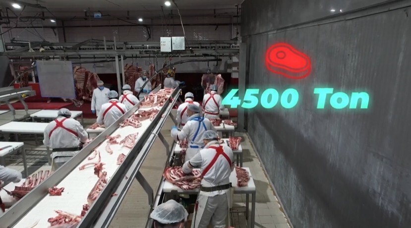 TARIM VE ORMAN BAKANI İBRAHİM YUMAKLI, "BİN 250 KİŞİYE İSTİHDAM, YILLIK 4 BİN 500 TON KIRMIZI ET...